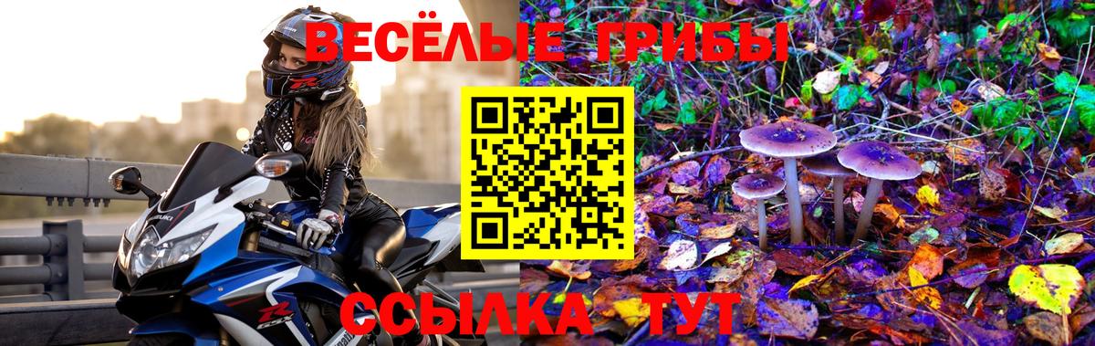 Псилоцибиновые грибы прущие грибы Алексин